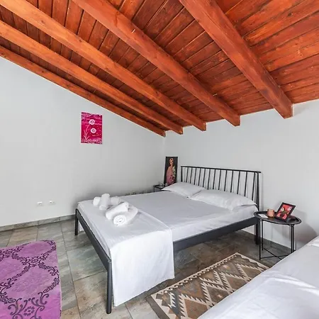 Apartamento 'easy Steps' - 2 - Pro Bono By Pikhost Shkodër